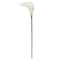 White Calla Lily Stem by Ashland®